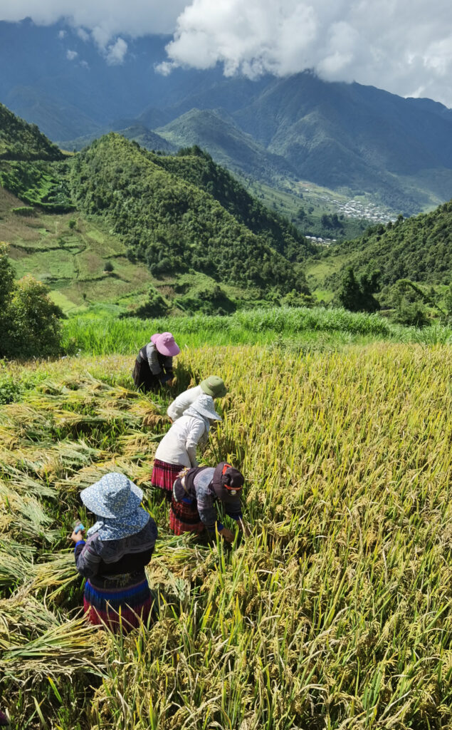 img 20220918 093816 1