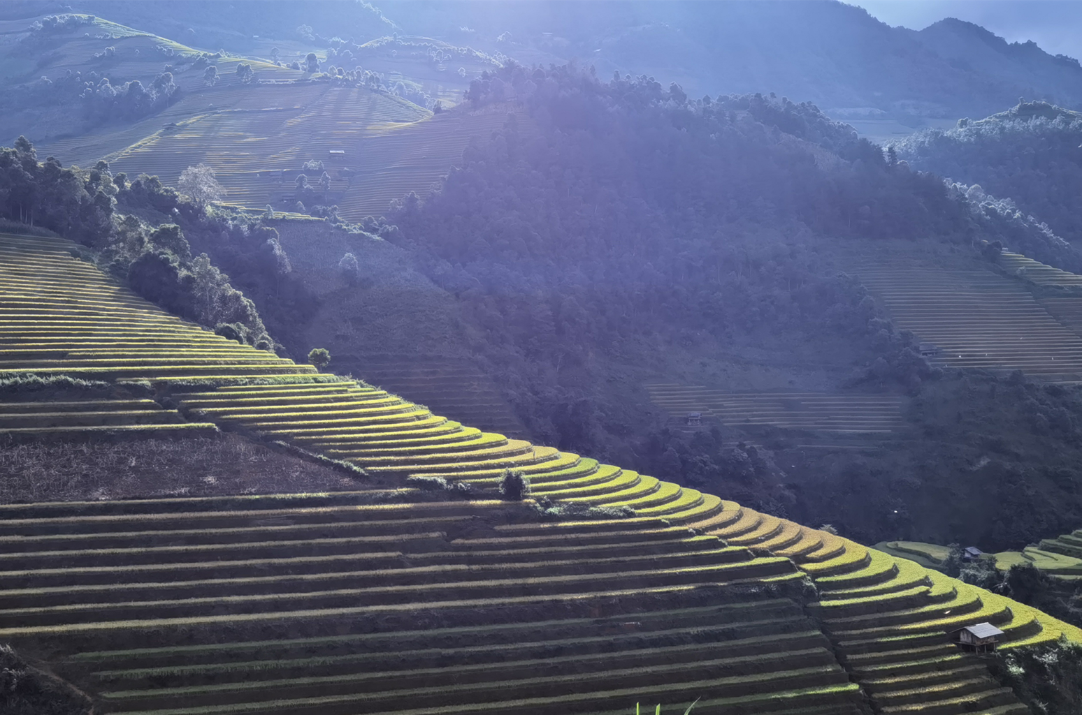 mise en avant vietnam nord