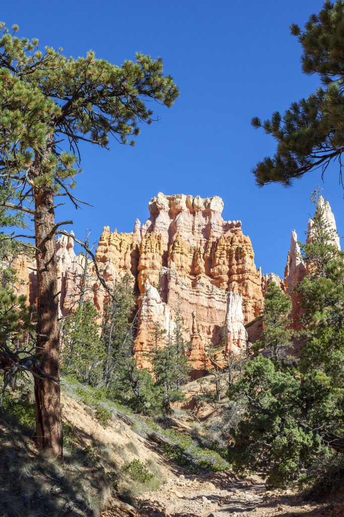 hoodoos on mossy creek trail