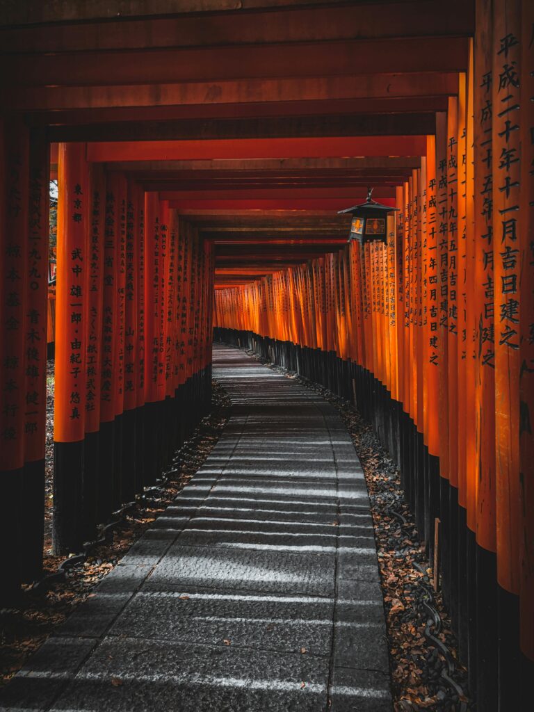 pexels trulysoutheastasia 3995905