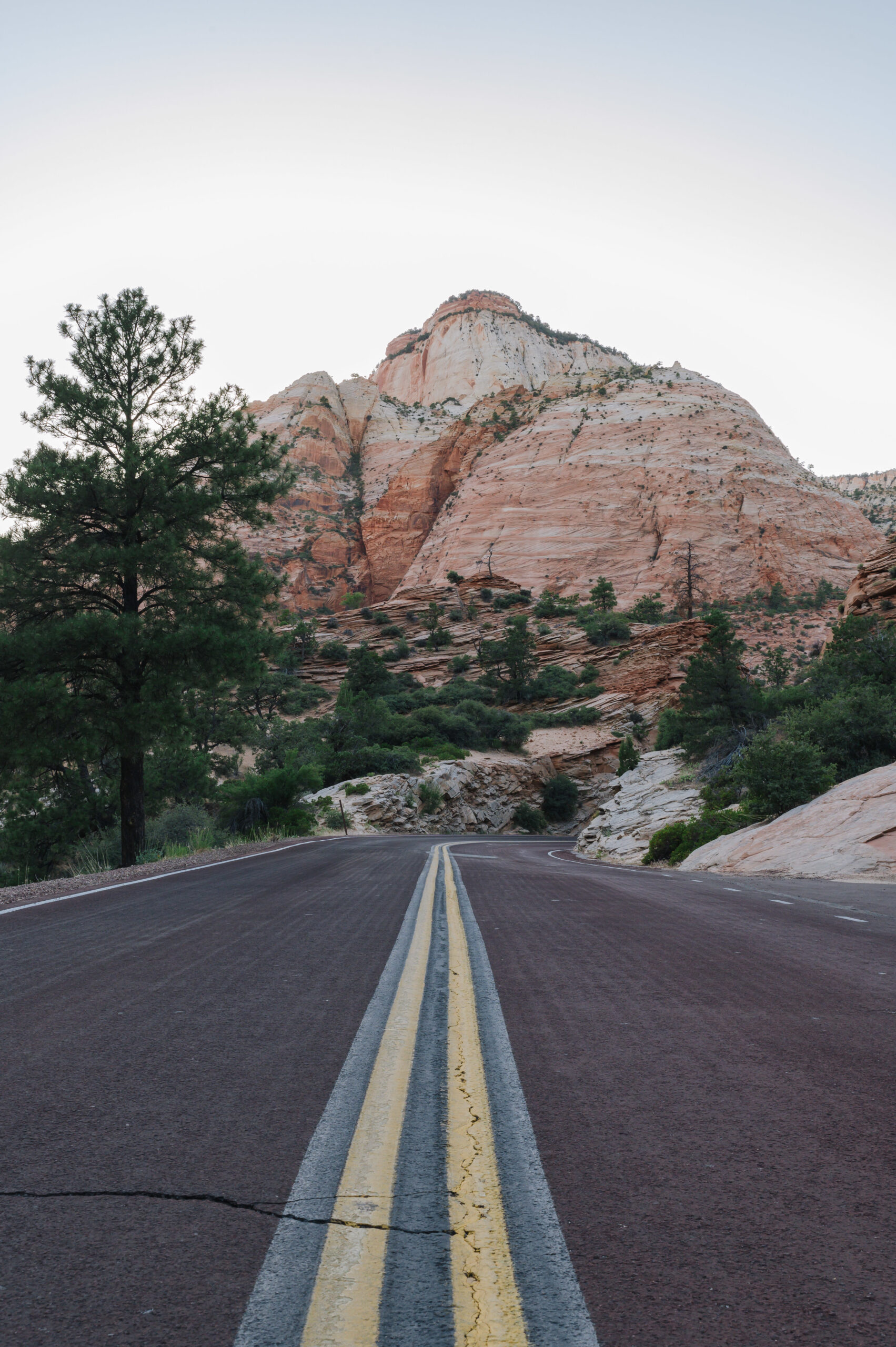 Zion national park in the usa
