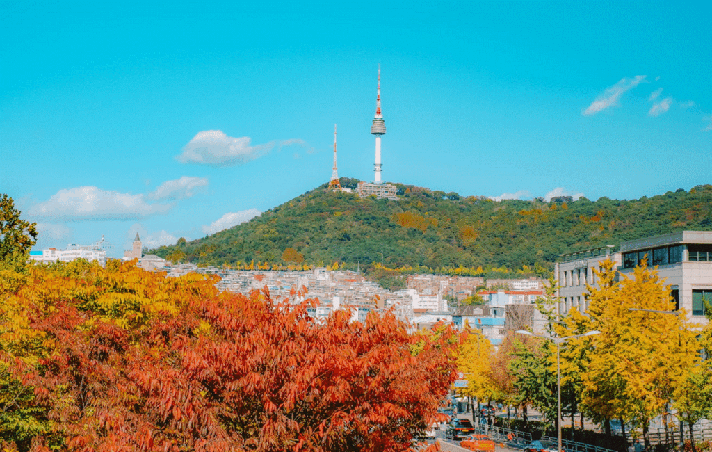 namsan & n seoul tower